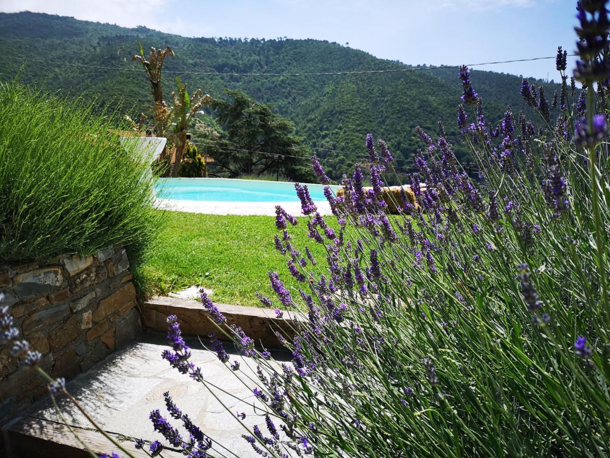 Agriturismo Ca Due Nonu Vallebona Eksteriør billede